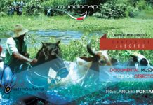 Cantos de faena: en el corazón del llano
